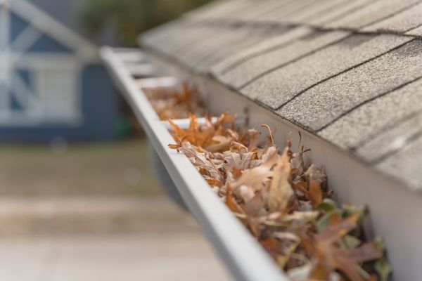 Leaf Barrier Installation in Hamilton